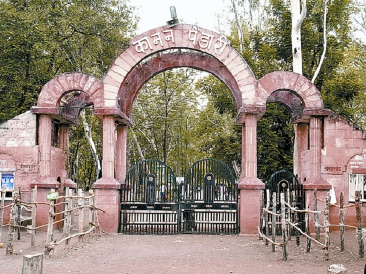 Bilaspur News: कानन के डीएफओ सहित 6 अफसरों का तबादला