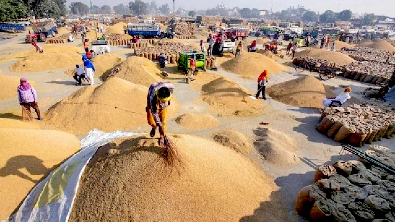 केन्द्र सरकार ने धान उपार्जन के लिए अनिवार्य किया है बायोमेट्रिक सिस्टम
