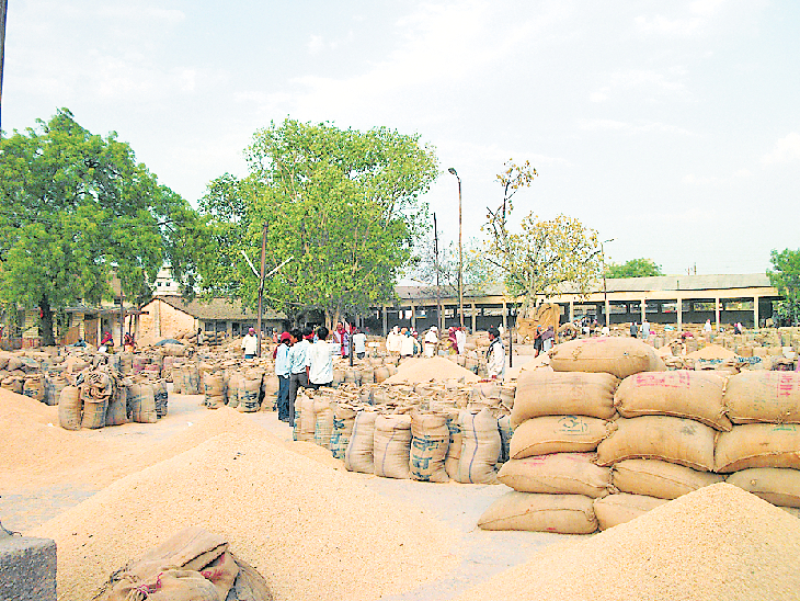 आज से शुरू होगी धान खरीदी, अभी बायोमेट्रिक मशीन का नहीं होगा इस्तेमाल, आदेश जारी