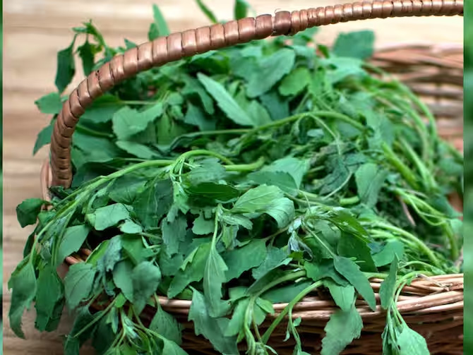 सर्दियों में जरूर खाना चाहिए बथुआ का साग, जानें इसकी कुछ आसान रेसिपीज