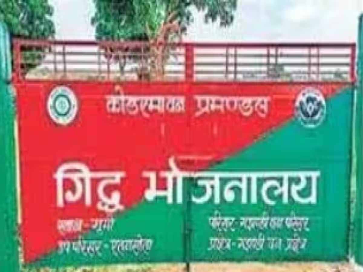 झारखंड में वन विभाग ने गिद्धों के लिए रेस्तरां खोला