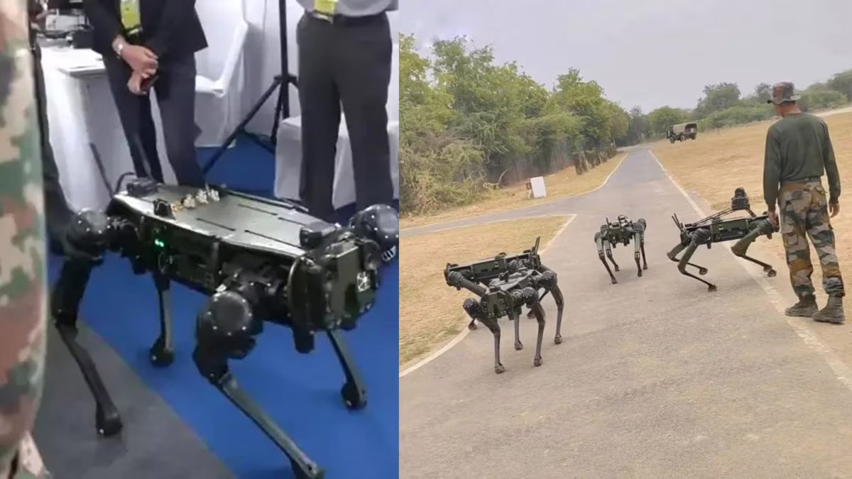 रोबोटिक खच्चर सेना में बोझा ढोने के साथ ही करेंगे जासूसी, -40 डिग्री में भी कार्य करने में सक्षम