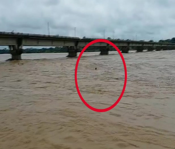 उफनती नदी में मछली पकड़ने अकेल गया युवक, देखते ही देखते बह गया, Video Viral