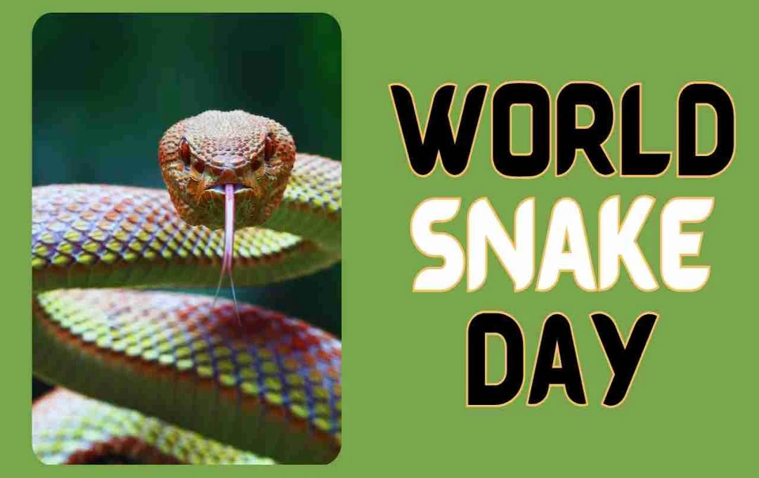 World Snake Day 2025: छत्तीसगढ़ में पाए जाते हैं ये जहरीले सांप, काट लें तो क्या करें, जानें बचाव के तरीके
