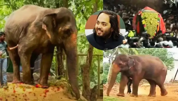 Mahadevi Elephant Kolhapur विवाद, शुरू हुआ JIO Bycott