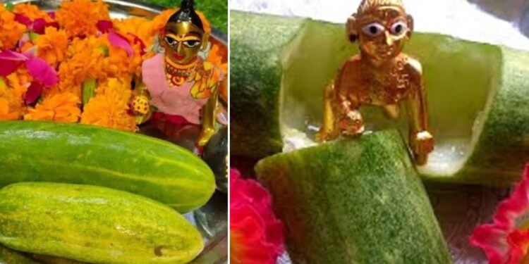 जन्माष्टमी पर डंठल वाले खीरे के साथ ही श्री कृष्ण के जन्मोत्सव को मनाने की पुरानी परंपरा, खीरे को काटने के बाद उसका क्या करें?