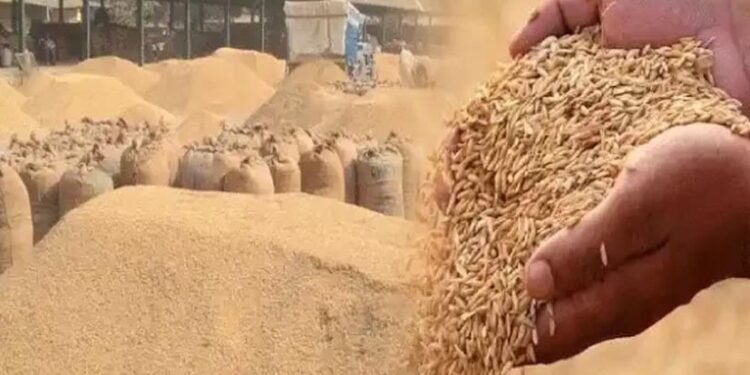एक माह में 230 एकड़ रकबा का समर्पण, सरकार ने बचाए डेढ़ करोड़