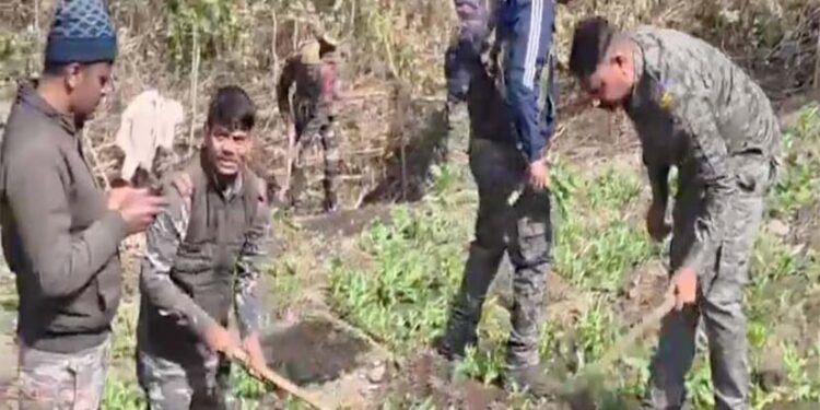 कोई गांव नहीं, सिर्फ अफीम के अवैध फार्महाउस गिराए गए: एफएनसीसी