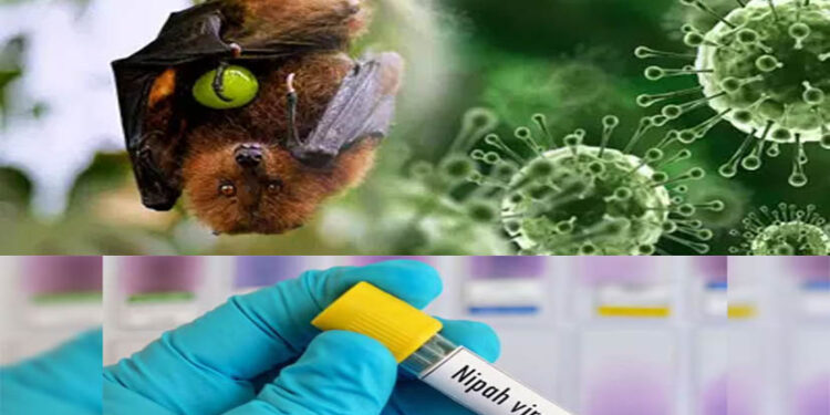 बंगाल में 25 साल बाद लौटा निपाह वायरस, 75 फीसदी तक मृत्यु दर, कोई टीका भी नहीं; कितना खतरनाक?
