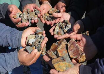 देश का पहला राज्य छत्तीसगढ़, जिसने की लीथियम खदान की नीलामी…