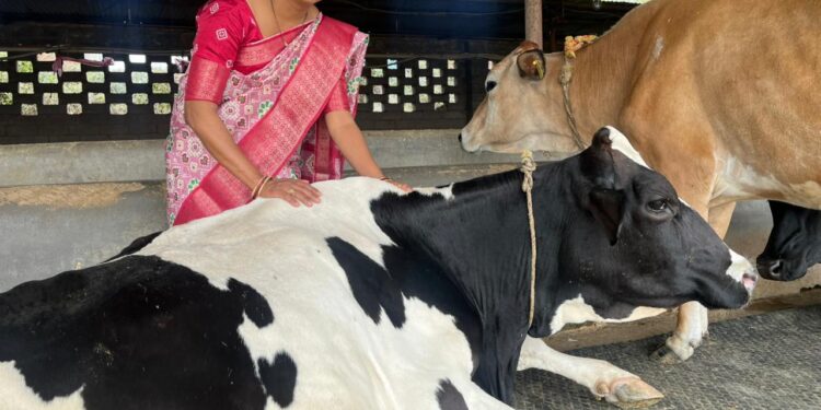 पति को खेत के लिए चाहिए था खाद, पत्नी ने शुरू की डेयरी