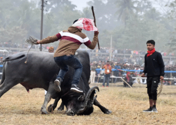 असम में फिर लौटेगा  Moh Juj  का रोमांच!