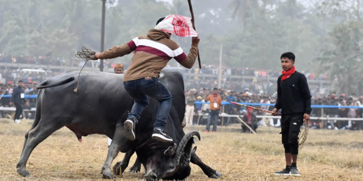 असम में फिर लौटेगा  Moh Juj  का रोमांच!