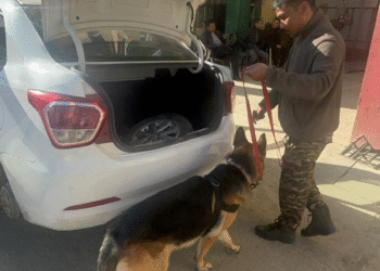 मिजोरम में Assam Rifles की बड़ी कार्रवाई, Rs 29.4 crore की Drugs Seized, एक Drug Peddler गिरफ्तार