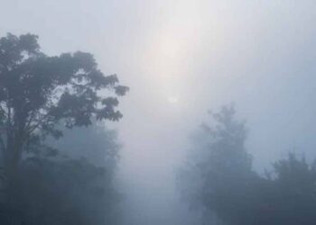 Chhattisgarh Weather Update