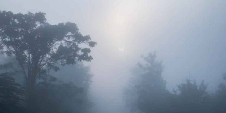 Chhattisgarh Weather Update