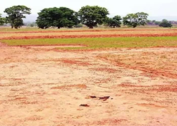 छत्तीसगढ़ के इन जिलों में 2 मार्च से लागू होंगी नई गाइडलाइन दरें, जमीन की खरीद-फरोख्त में होगी आसानी