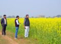 धान-परती भूमि में सरसों की खेती से किसानों की अच्छी आय संभव
