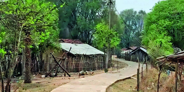 बस्तर का 96% इलाका नक्सलमुक्त, 1000 गांवों से नक्सलियों का सफाया