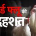 बिलासपुर में बर्ड फ्लू का खतरा, 22 हजार से ज्यादा पक्षियों को नष्ट, रायगढ़ में अलर्ट