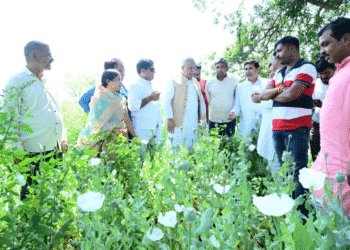 भाजपा नेता पर भूपेश बघेल का गंभीर आरोप, कहा- 10 एकड़ में कर रहे अफीम की खेती, देंखे वीडियो