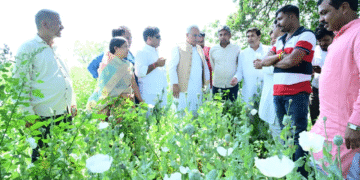 भाजपा नेता पर भूपेश बघेल का गंभीर आरोप, कहा- 10 एकड़ में कर रहे अफीम की खेती, देंखे वीडियो