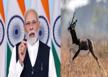 बिजली की रफ्तार से भागता है ‘ब्लैकबक’; PM मोदी के जिक्र के बाद चर्चा में, CM साय ने कही बड़ी बात