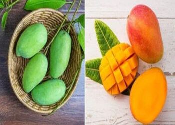Ripe Mango vs Raw Mango: कच्चा या पका आम, सेहत के लिए कौन सा है ज्यादा फायदेमंद?