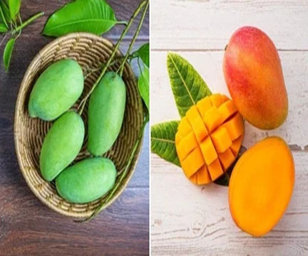 Ripe Mango vs Raw Mango: कच्चा या पका आम, सेहत के लिए कौन सा है ज्यादा फायदेमंद?