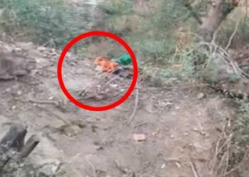 दुर्ग जिले में कुएं के पास बोरे में बंद मिली 5 साल की मासूम, रेप की आशंका