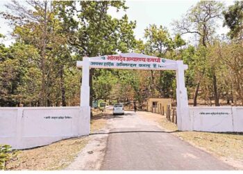 भोरमदेव में शुरू होगा जंगल सफारी, मिलेगा 22 बार नदी पार करने का रोमांच