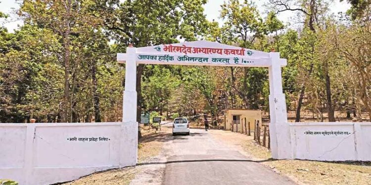 भोरमदेव में शुरू होगा जंगल सफारी, मिलेगा 22 बार नदी पार करने का रोमांच