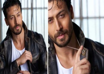 साउथ के निर्देशक की फिल्म से टाइगर ब्रेक करेंगे एक्शन इमेज