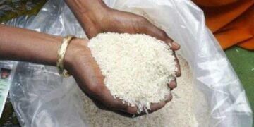 छत्तीसगढ़ के इस जिले में फोर्टिफाइड चावल की जगह सामान्य चावल, राशनकार्ड धारकों को मिलेगी राहत