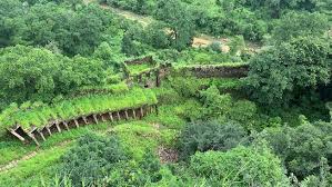 ग्रीन ट्री प्रोजेक्ट ठंडे बस्ते में, 20 लाख खर्च के बाद भी नहीं मिल सकी पेड़ों की पूरी जानकारी