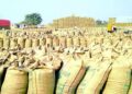 रायपुर के धान खरीदी केंद्रों में बड़ा खुलासा, 12 समितियों में 6590 क्विंटल धान की कमी; 3 पर FIR दर्ज