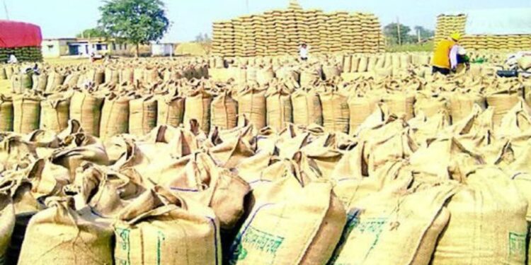 रायपुर के धान खरीदी केंद्रों में बड़ा खुलासा, 12 समितियों में 6590 क्विंटल धान की कमी; 3 पर FIR दर्ज