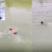 रील बनाने के चक्कर में गई युवक की जान, नदी में छलांग लगाने से मौत; 48 घंटे बाद मिला शव