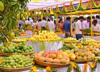 राष्ट्रीय आम महोत्सव 29 से, तीन दिनों तक आममय रहेगा कृषि विश्वविद्यालय परिसर