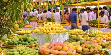 राष्ट्रीय आम महोत्सव 29 से, तीन दिनों तक आममय रहेगा कृषि विश्वविद्यालय परिसर