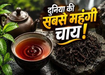 International Tea Day: 9 करोड़ रुपये किलो वाली चाय, जिसे कहा जाता है ‘जीवन का अमृत’