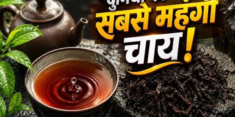 International Tea Day: 9 करोड़ रुपये किलो वाली चाय, जिसे कहा जाता है ‘जीवन का अमृत’