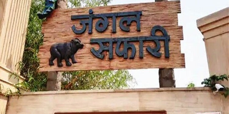 पर्यटकों के लिए महंगा हुआ जंगल सफारी और नंदनवन जू घूमना, 50% तक बढ़े टिकट के दाम