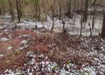छत्तीसगढ़ में मौसम ने ली करवट, गरियाबंद में भारी बारिश के साथ गिरे ओले
