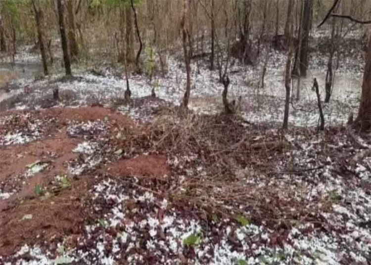 छत्तीसगढ़ में मौसम ने ली करवट, गरियाबंद में भारी बारिश के साथ गिरे ओले