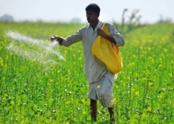 छत्तीसगढ़ में खरीफ सीजन से पहले खाद संकट गहराया, सहकारी क्षेत्र में अब तक आधा भंडारण