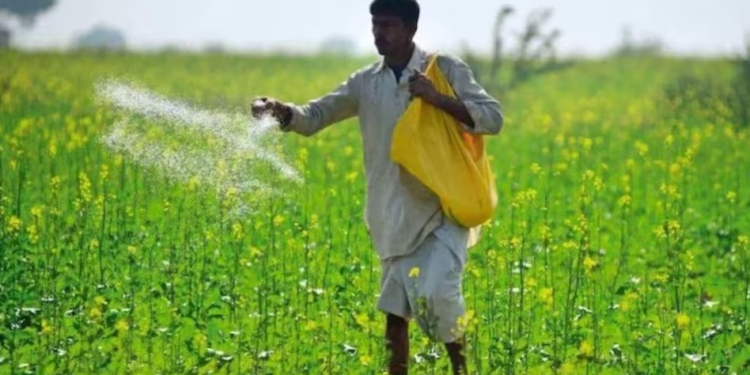 छत्तीसगढ़ में खरीफ सीजन से पहले खाद संकट गहराया, सहकारी क्षेत्र में अब तक आधा भंडारण