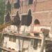 सामुदायिक भवन के नाम पर बन रहा था चर्च, प्रशासन ने चलाया बुलडोजर; पुलिस बल तैनात