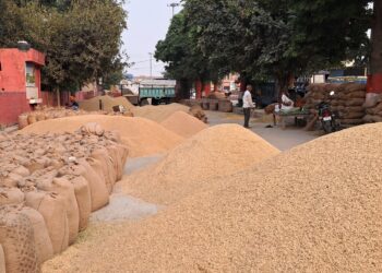 कवर्धा में 77 लाख रुपये का धान घोटाला, ऑनलाइन सिस्टम को 4 महीने तक किया गुमराह; केंद्र प्रभारी समेत 3 पर FIR