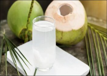 छत्तीसगढ़ के रेलवे स्टेशन पर मिलेगा पहली बार नारियल पानी, यात्रियों को गर्मी से राहत